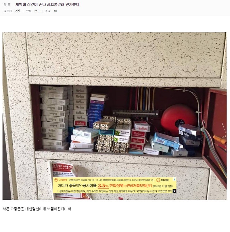 디시인과 40인의 일진 | 인스티즈