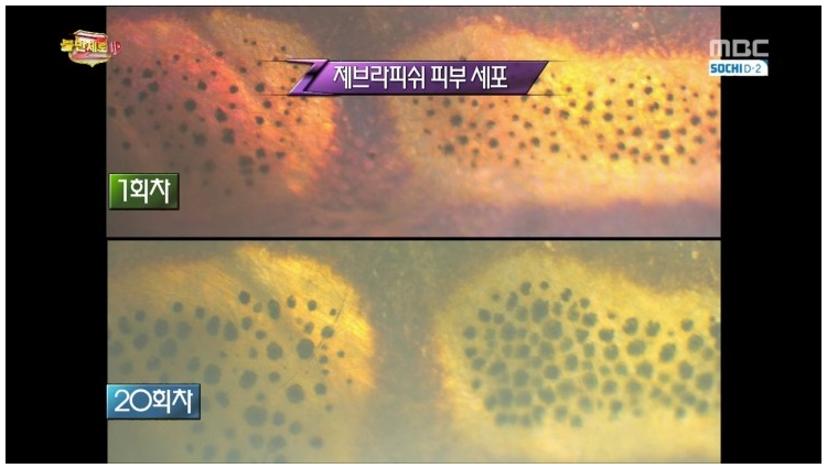  물티슈의 위험성... | 인스티즈