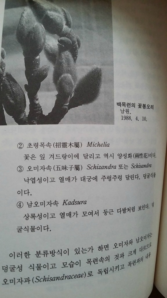 일지사 이미지