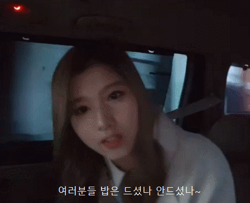 털갈이한 사나.gif | 인스티즈