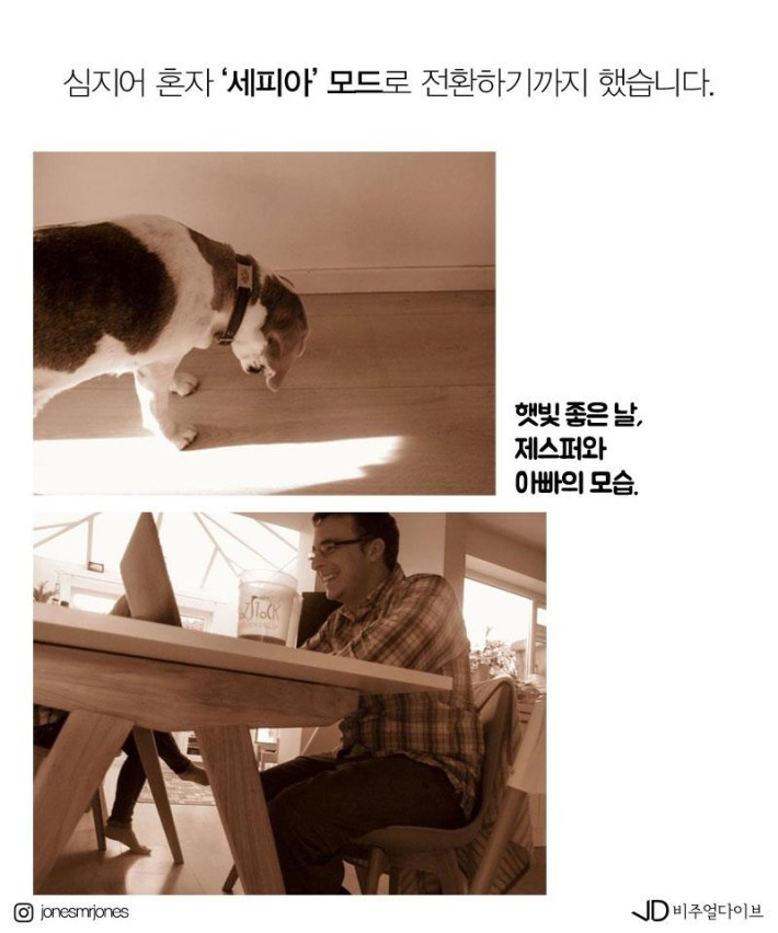 19개월 아기가 찍은 사진들 | 인스티즈