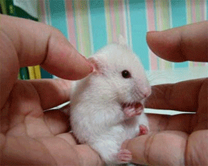 아 씨X! 깜짝이야!!!!!!!!!!!!!!!!!.gif | 인스티즈