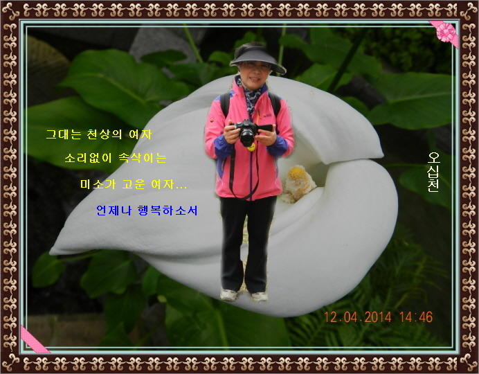 여미마 이미지