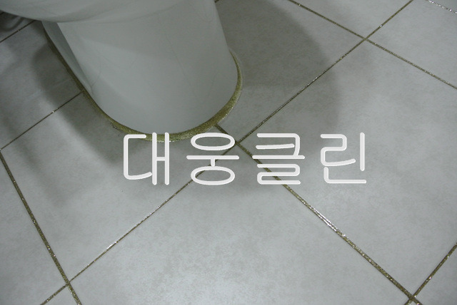 수영클린 이미지
