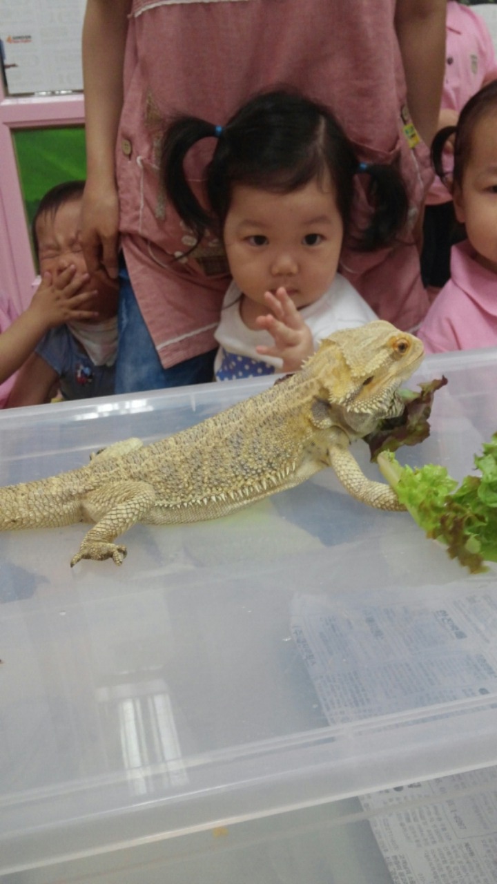 해성어린이집 이미지