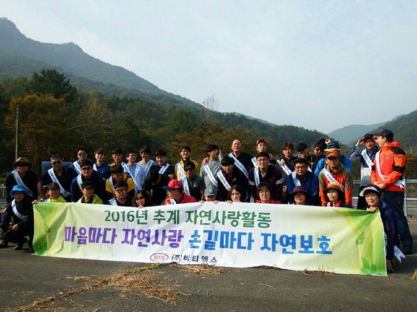 비티엑스 이미지