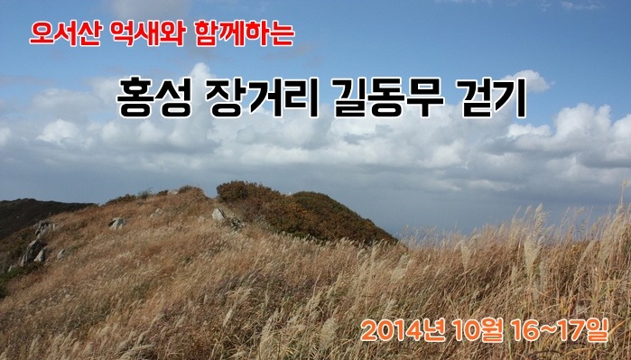 홍성센터 이미지