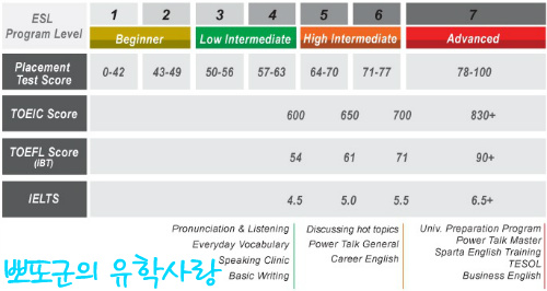 더블유티씨 이미지