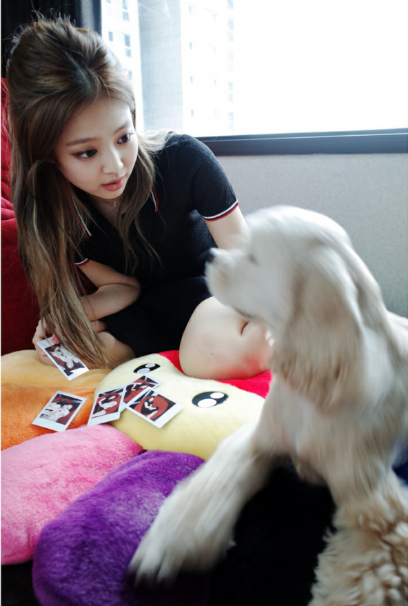 강아지 데리고 노는 블랙핑크 제니.jpg | 인스티즈