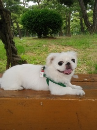 오늘산책 이미지