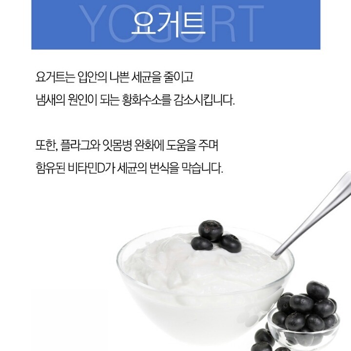 입냄새를 잡아주는 8가지 | 인스티즈