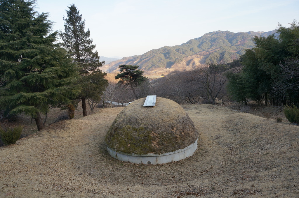 신장충동왕족발 이미지