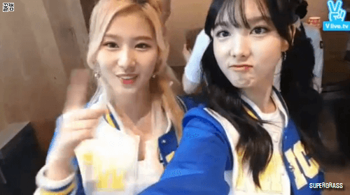던킨 트와이스.gif | 인스티즈