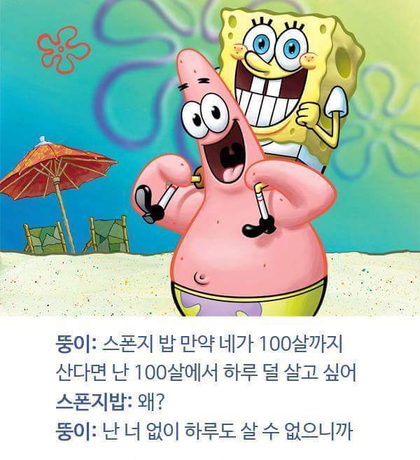 스펀지밥 뚱이 (별가) 명언 레전드 | 인스티즈