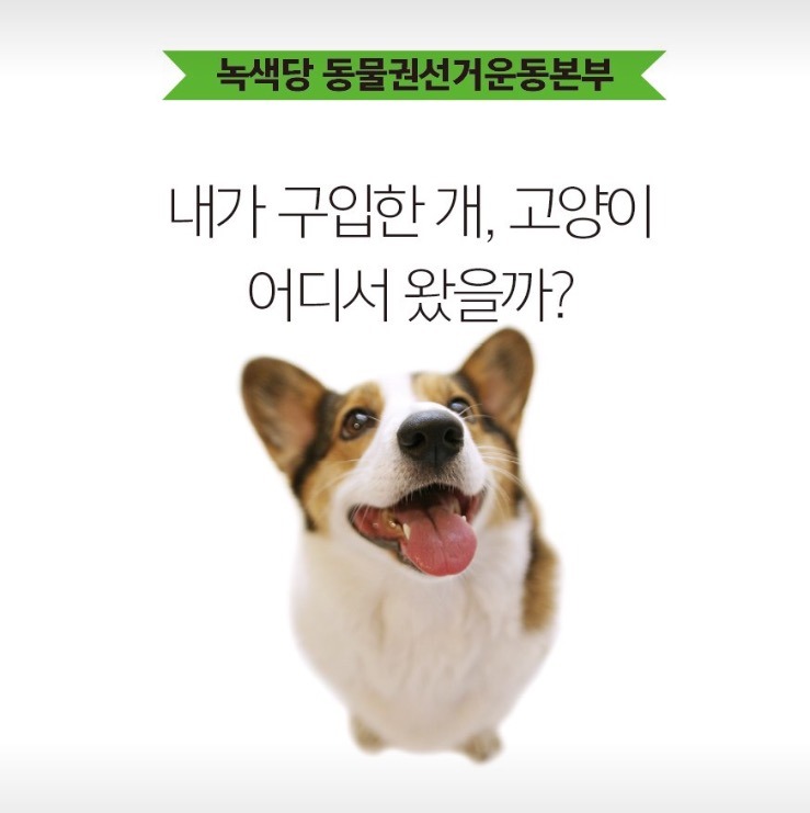 강아지는 귀여워서 사는 인형이 아닙니다.jpg +강아지 입양시 주의 | 인스티즈