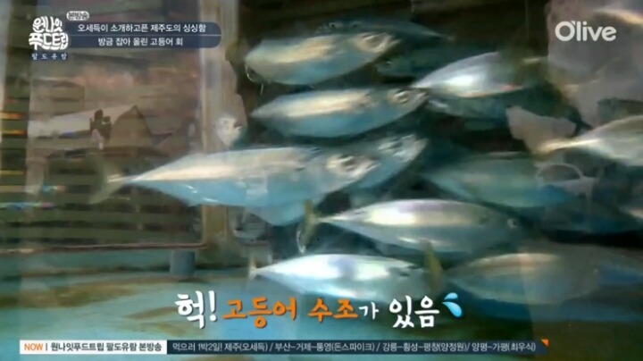 제주도 고등어회.jpg | 인스티즈
