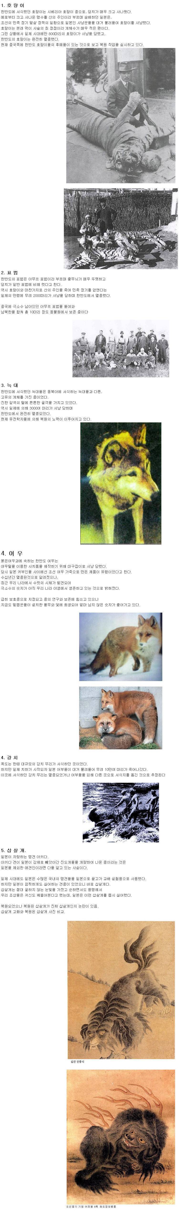 일본이 멸종시킨 한국의 동물들 | 인스티즈