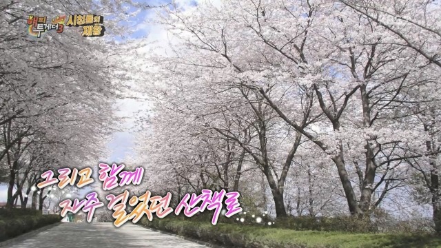 류수영이 박하선에게 한 프로포즈.jpg | 인스티즈