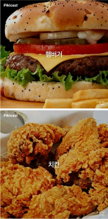 여자들의 흔한 다이어트 JPG | 인스티즈