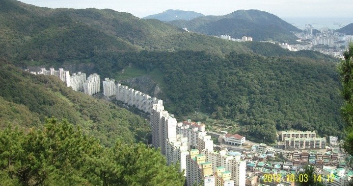 자연을 벗삼은 아파트단지 | 인스티즈