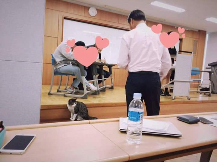 함부로 들어갔다가는 폭행당한다는 국민대 | 인스티즈
