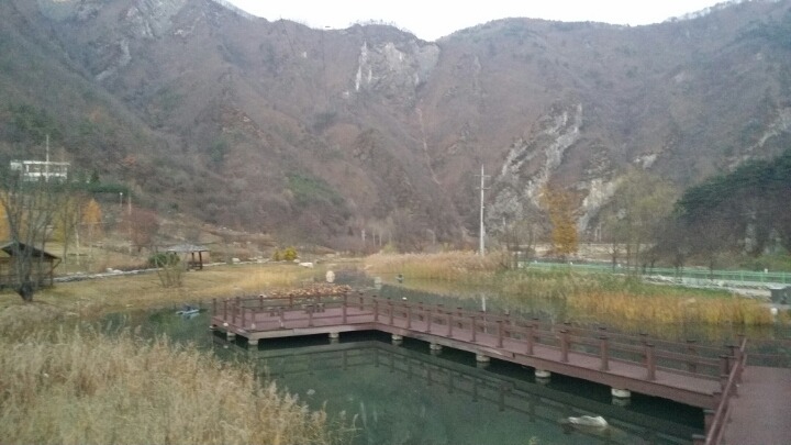 정선에코리조트 이미지