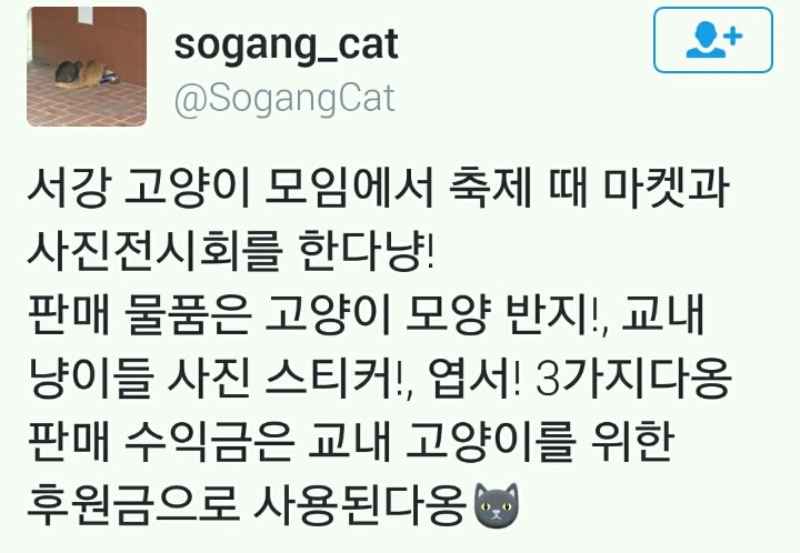 고양이모임의 흔한 굿즈퀄리티... | 인스티즈