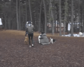 오늘자 마리텔....원맨쇼..gif | 인스티즈