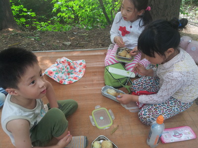 삶은감자(감자숲) 이미지