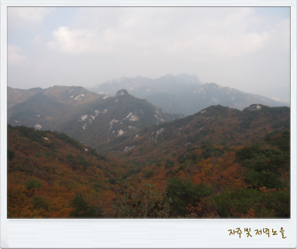 이화카프랜드 이미지