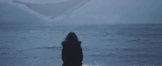 난다 고래?.gif | 인스티즈