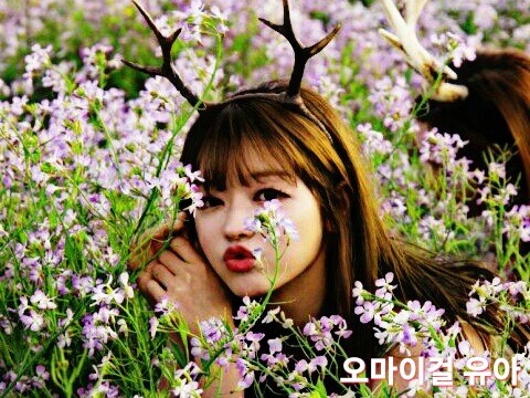 교통사고시 초보를 위한 합의 방법 | 인스티즈