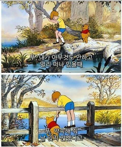 인생이 짜증날 때 보면 좋은 짤들.jpg | 인스티즈