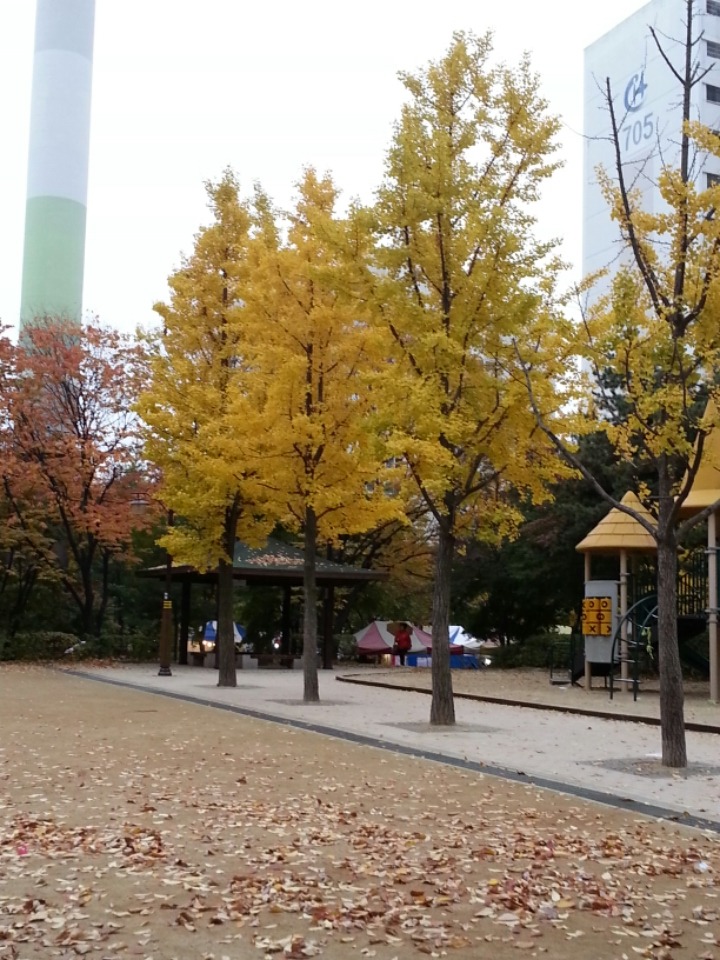 새골공원 이미지