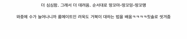 흔치 않은 아이돌의 애완동물 일대기.jpg | 인스티즈