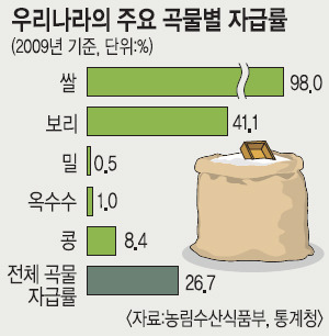 메이져 이미지