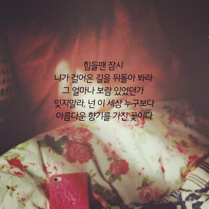 힘들 때 보면 위로가 되는(혹은 공감되는) 글귀들.jpg | 인스티즈