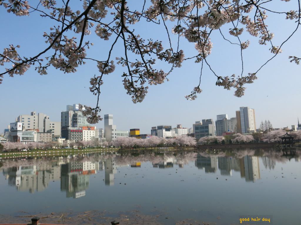 광신고등학교 이미지