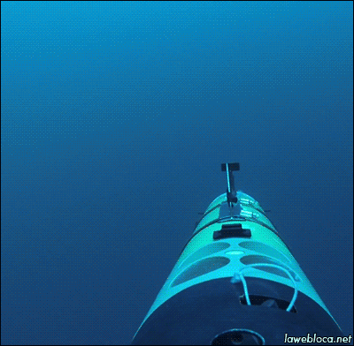 상어&고래 | 인스티즈