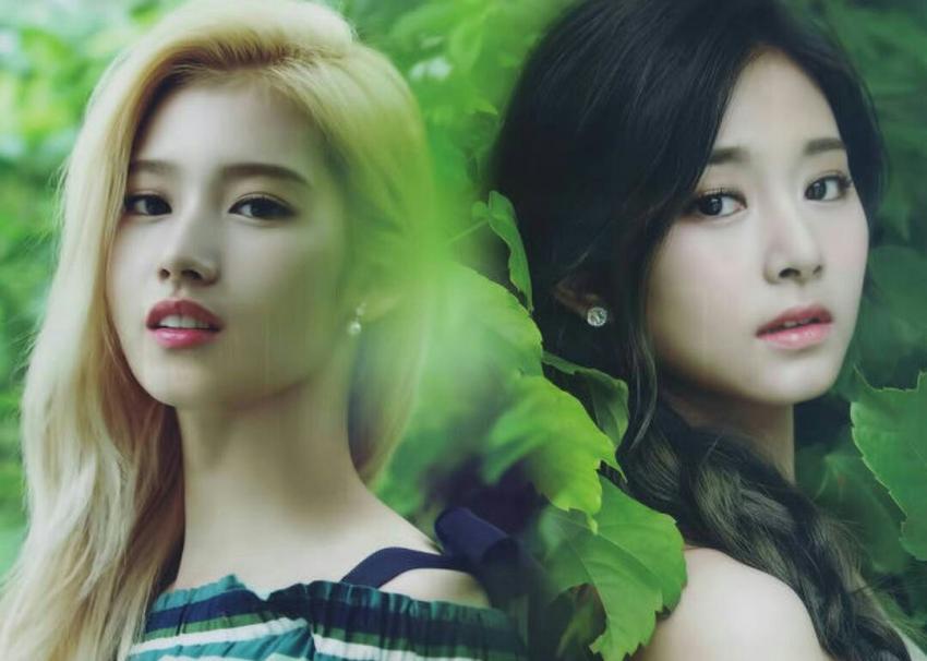트와이스 L홀더 사진 | 인스티즈
