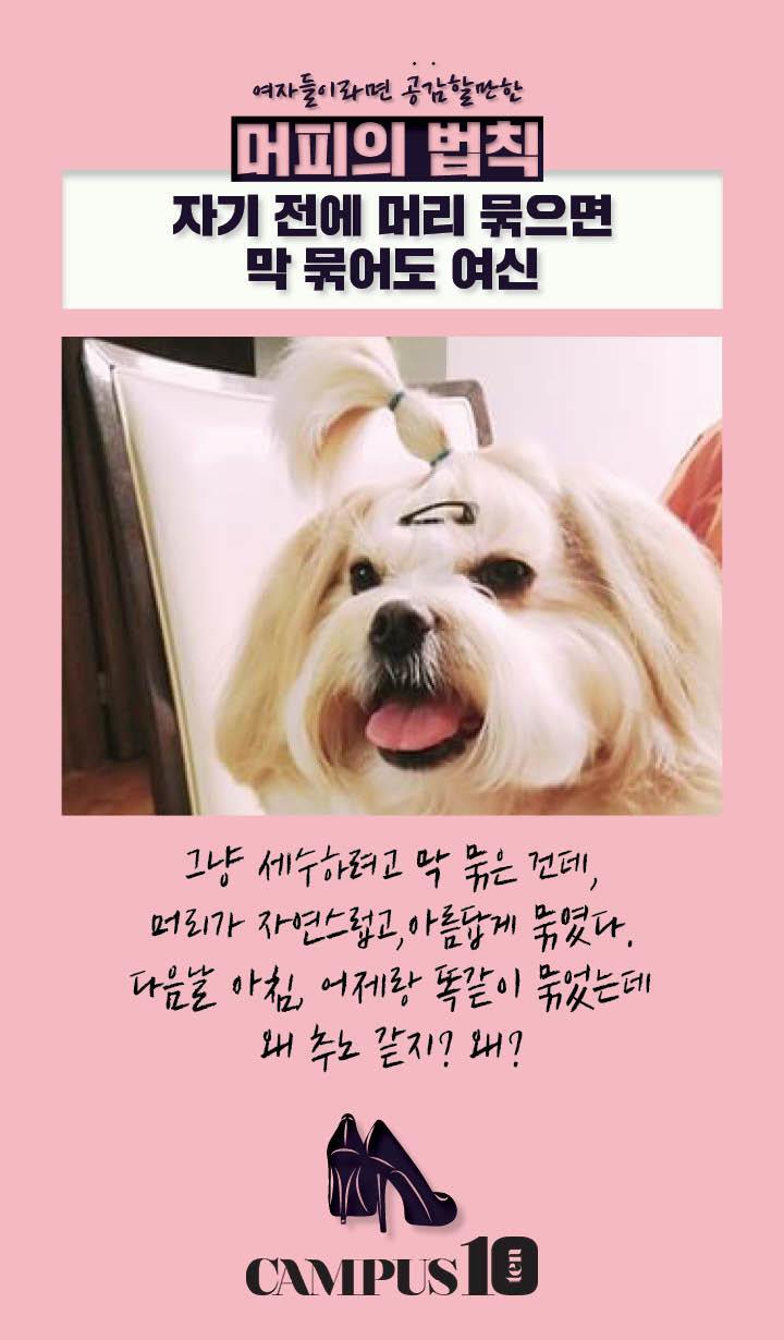 여자들이 공감할 만한 머피의법칙 | 인스티즈