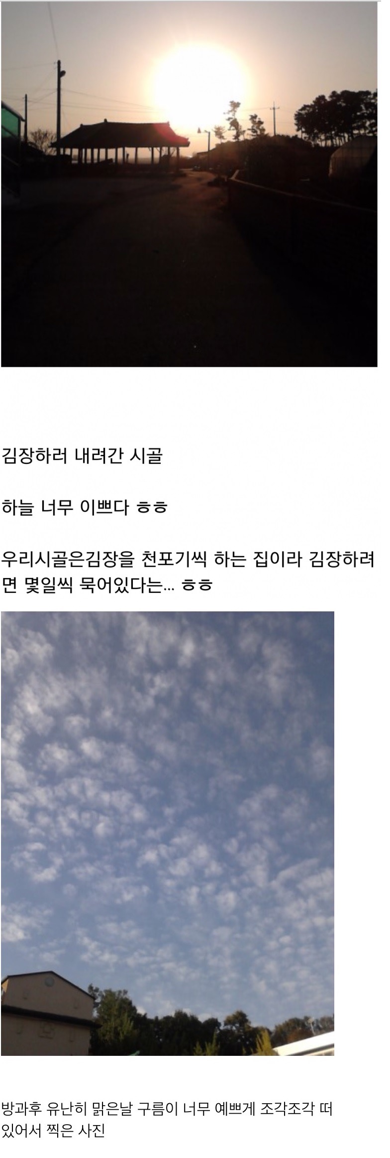 [프로듀스101] 과거 인터넷 블로거였던 김세정 | 인스티즈