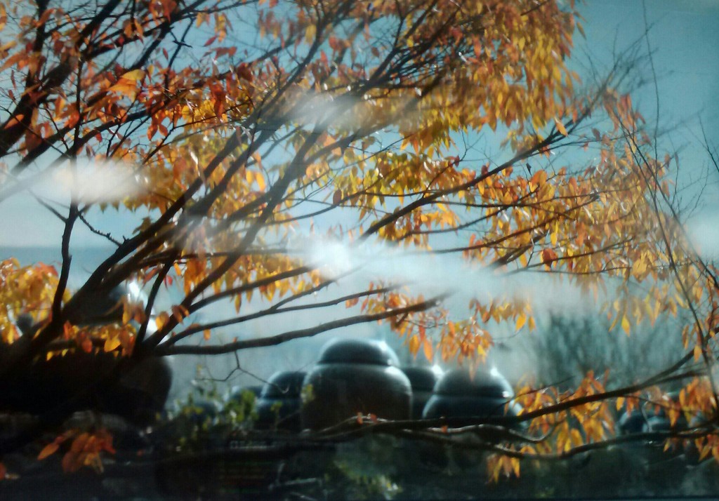 2353BF3E579E5C4A33EE4C