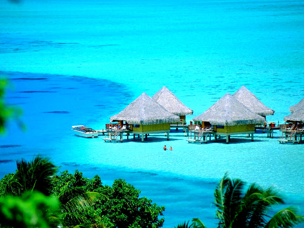 235A64445496BA4F324BD6