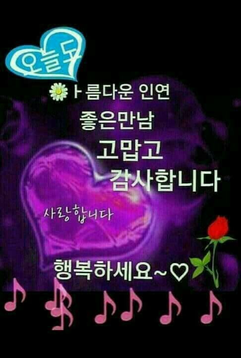 해야달아 이미지