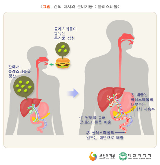 건강만세 이미지