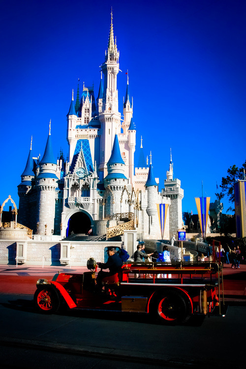 아이들 뿐만 아니라 어른들의 동심까지도 지켜주는 디즈니랜드(Disney land) 일화 | 인스티즈