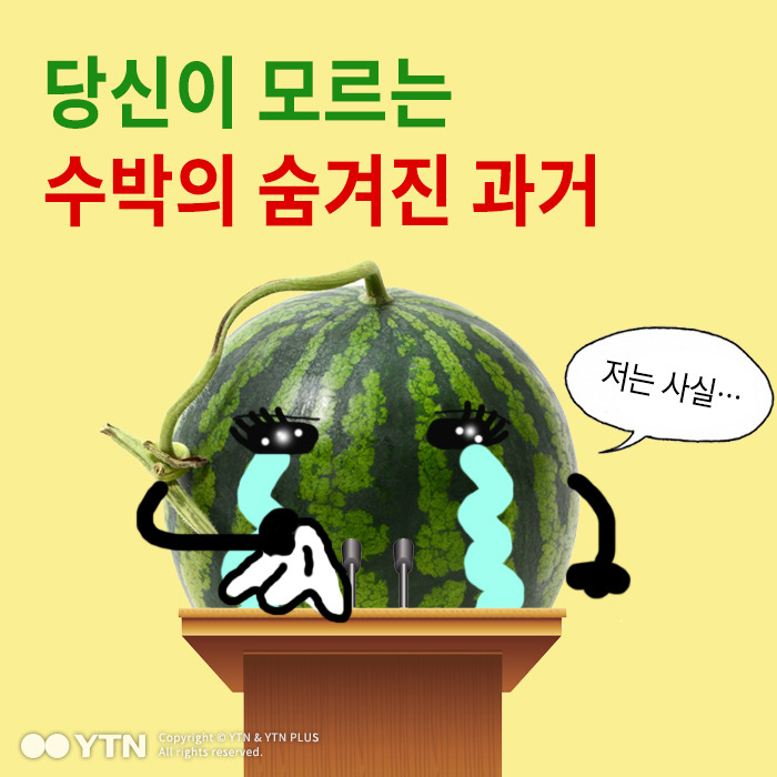 당신이 모르는 수박의 숨겨진 과거 | 인스티즈