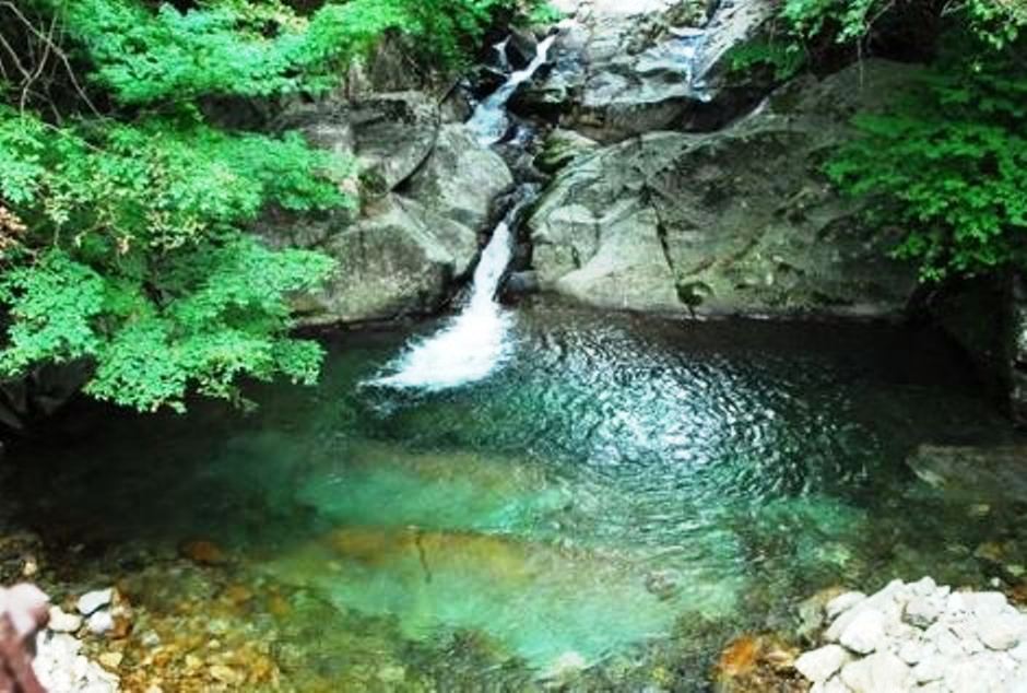 236CF64F55C0451E143549