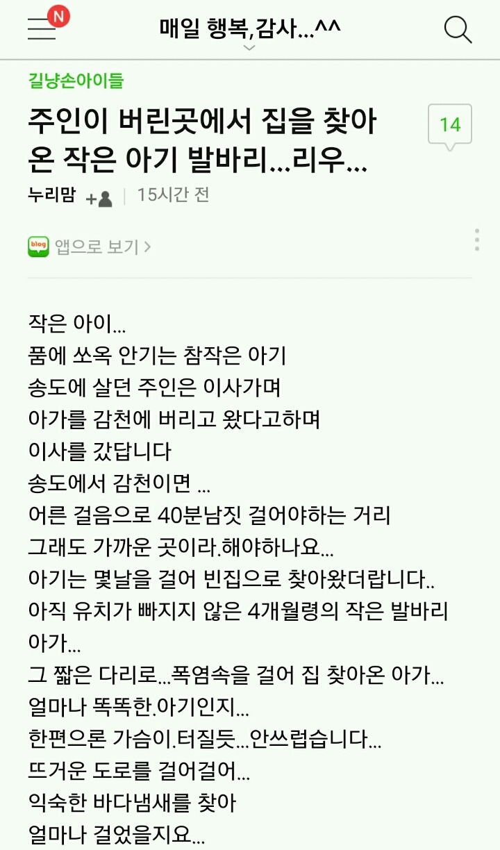 주인이 버리고 가자 며칠동안 걸어서 집을 찾아간 강아지 | 인스티즈